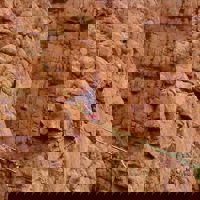 spravceid-5326